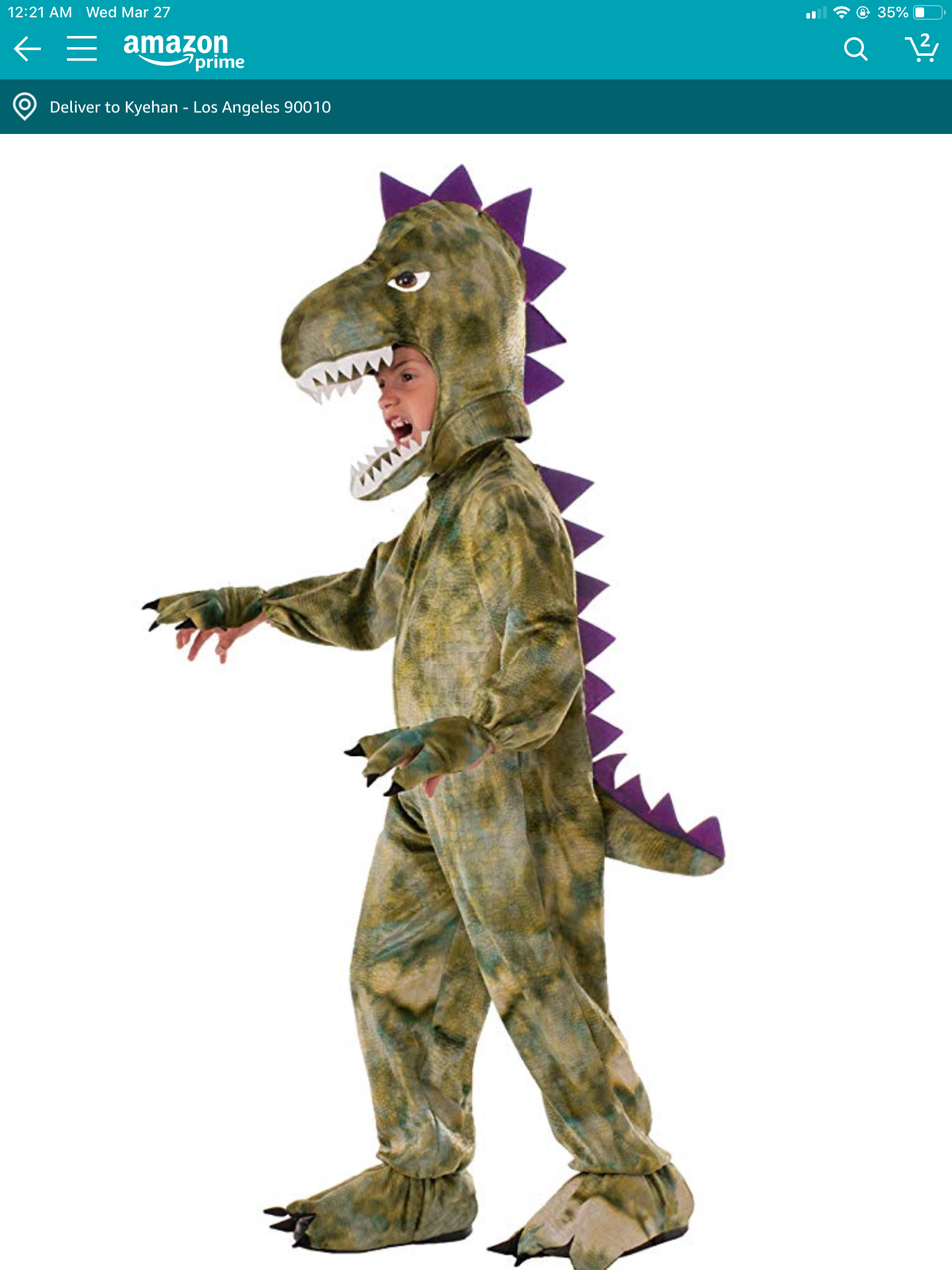 costumes_market/Dragon_costume