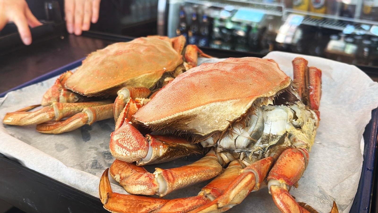 Steamed Dungeness crab at Pacific Fish Center, Redondo Beach