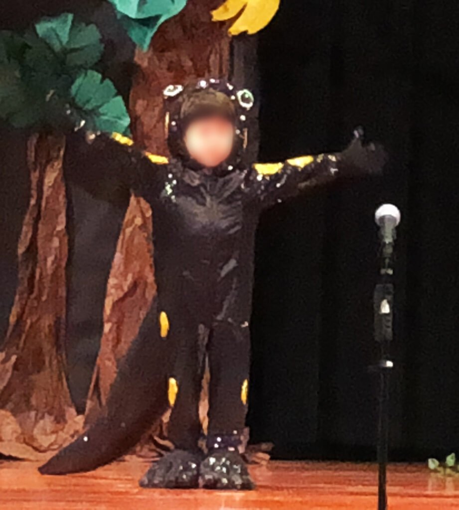 the finished costume on stage
