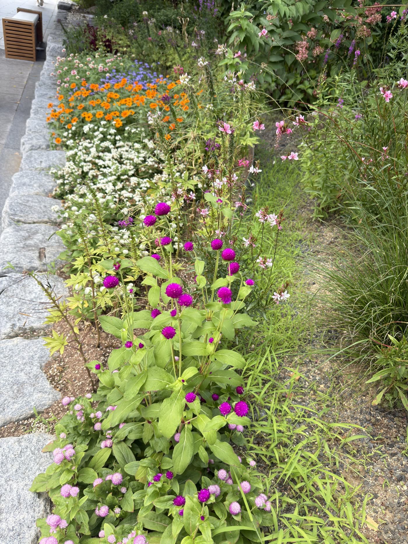 A planted flower border along the walking path at Gwanbangjerim in Damyang