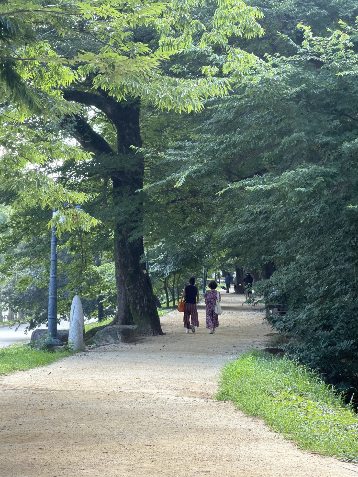 The old tree-lined walking path along the Gwanbangjerim levee in Damyang