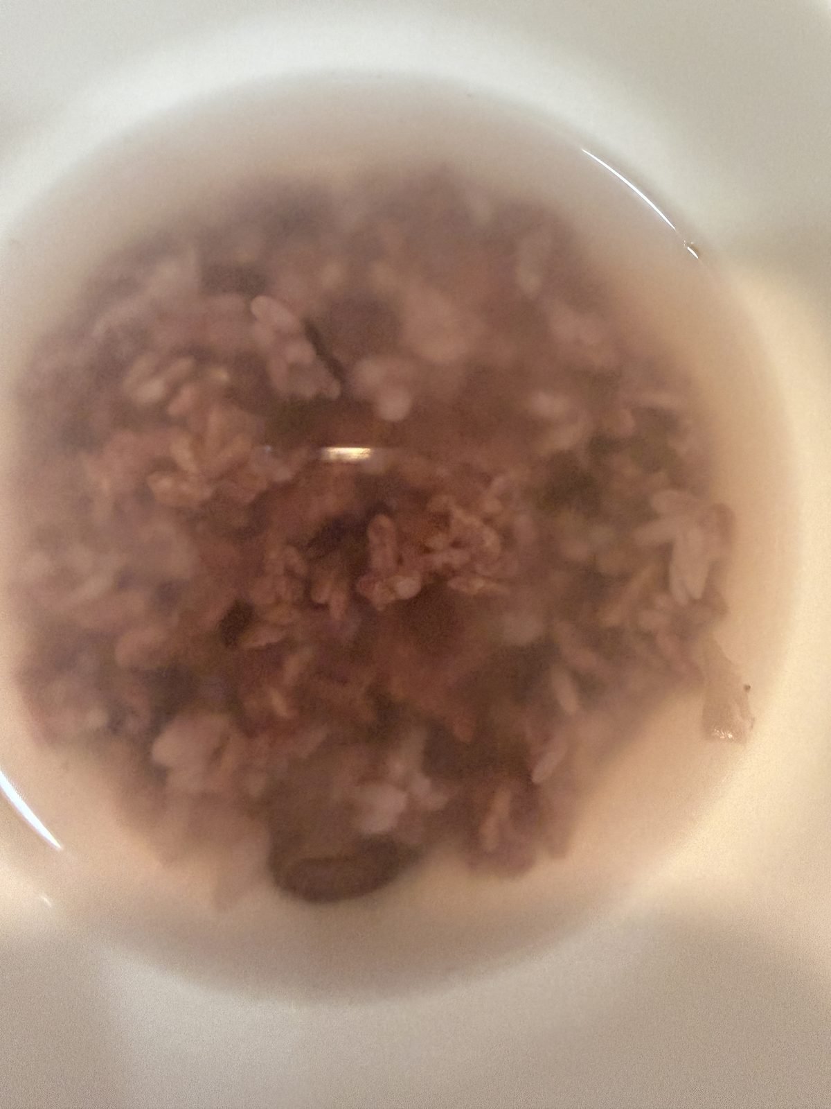 Red bean porridge dessert at Gowonnim Seoul