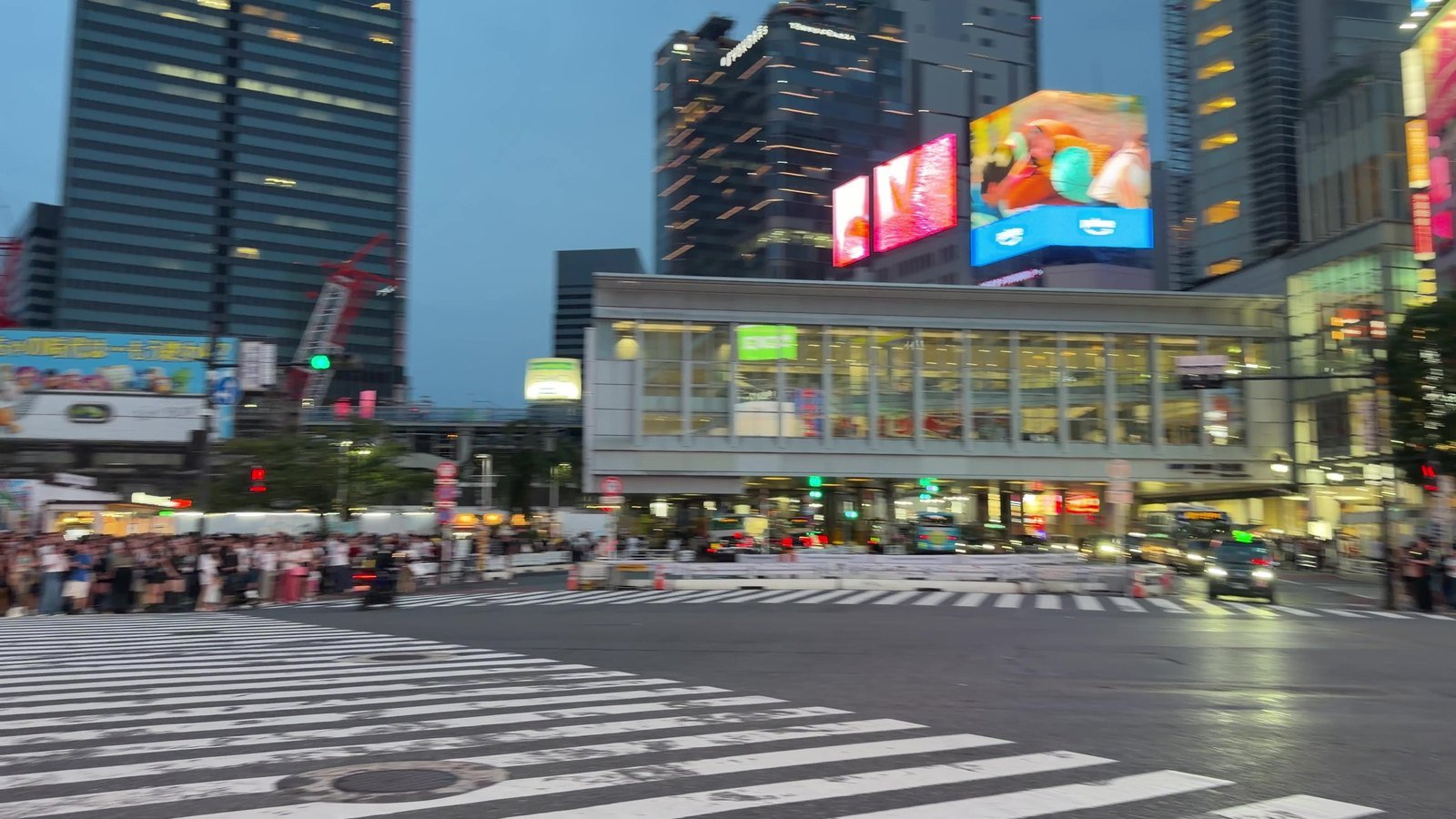 Shibuya Crossing empty for a moment before the pedestrian light changes