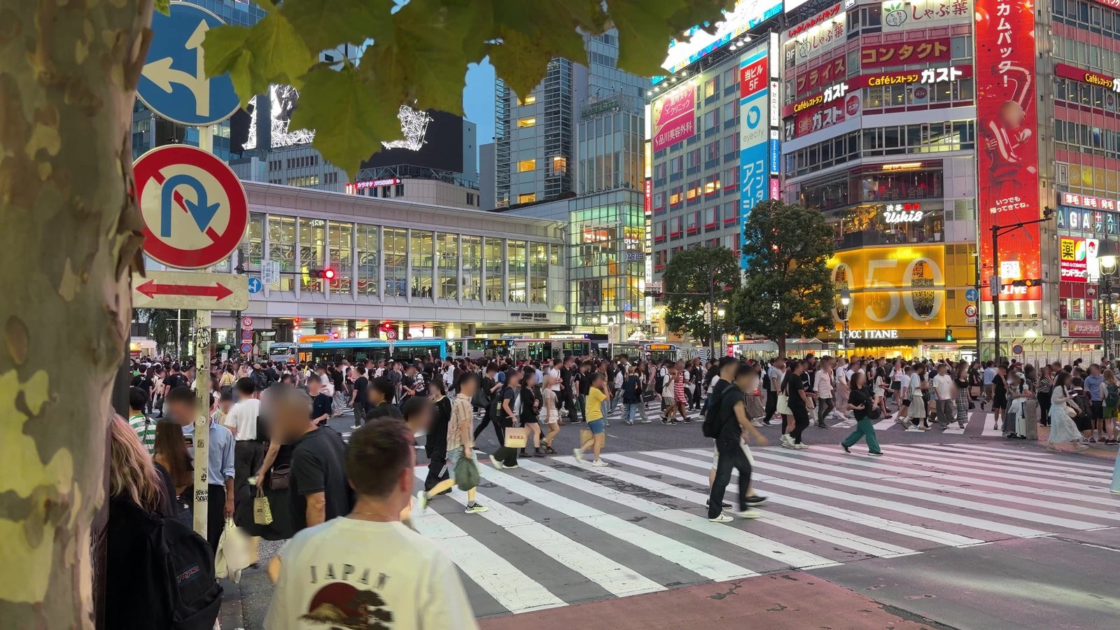 Shibuya Crossing seen from the corner under a street tree