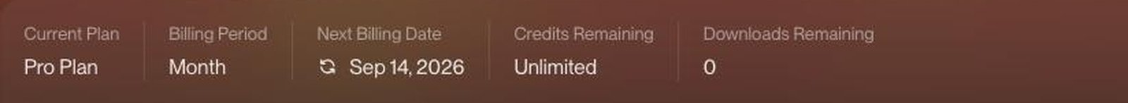 Suno Pro account bar showing unlimited credits remaining and zero downloads remaining