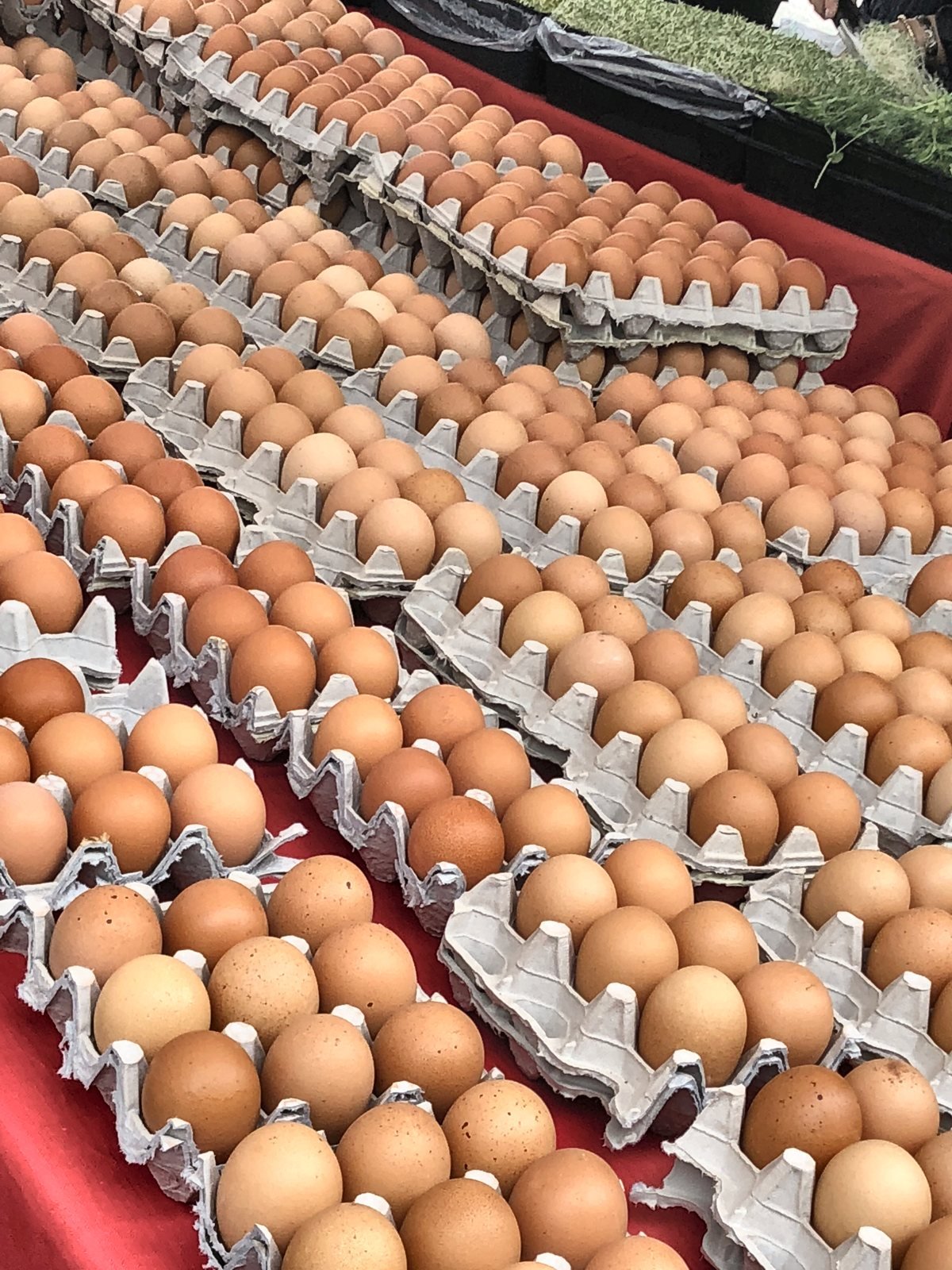 Rows of brown eggs in open cartons at the Hollywood Farmers Market