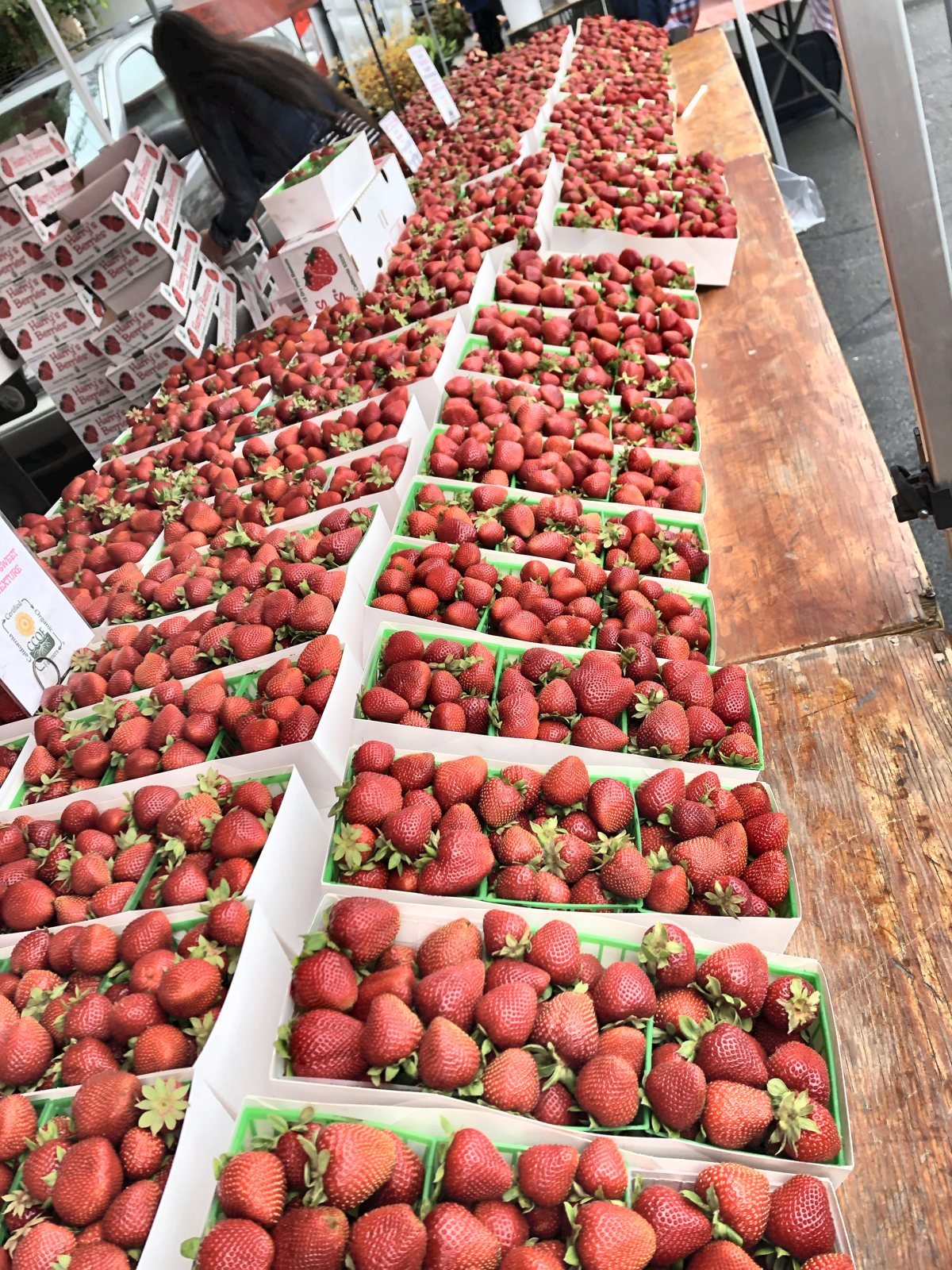 Rows of strawberry baskets on a table at the Hollywood Farmers Market