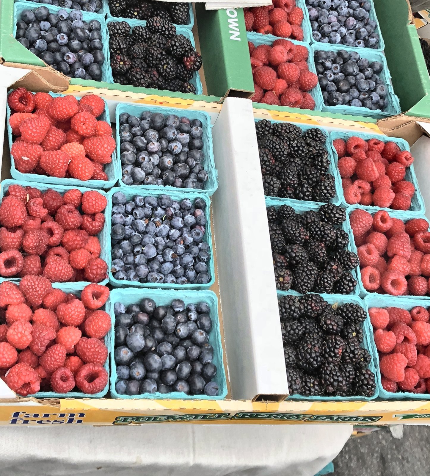 Baskets of raspberries, blueberries and blackberries at the Hollywood Farmers Market